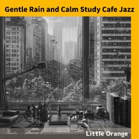 Whispering Raindrops Whisper - Little Orange