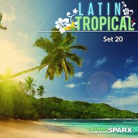 Calypso Reggae Fusion - Bobby Cole