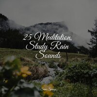 Splashing Drops - Brown Noise & Bedtime Baby & Oasis of Meditation