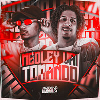 Medley Vai Tomando - MC Panico & DJ VN Mix