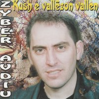A po vjen me mua - Zyber Avdiu