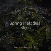 Centering Sounds - Entspannungsmusik & Oasis de Détente et Relaxation & Amazing Spa Music