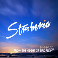 From the Heigh of Birds Flight - NVprod