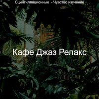 Живой - Момент - Кафе Джаз Релакс