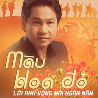 Hoa Bằng Lăng Trên Phố - Hương Giang