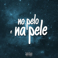 No pelo e na Pele - Dj Vinicin do Concordia & DJ ITIN & MC RANGEL