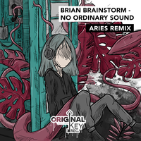 No Ordinary Sound - Brian Brainstorm & Aries