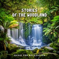 Rain for Relaxation - Anti Stress Music Zone