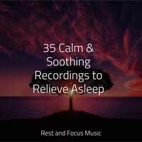 Mindful Ambience - Soothing Chill Out For Insomnia & Ambientalism & The Sleep Helpers