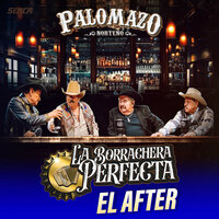 Tragos Amargos (En Vivo) - PALOMAZO NORTEÑO