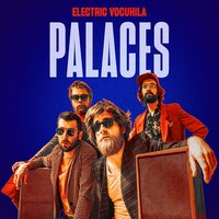 Paraky - Electric Vocuhila