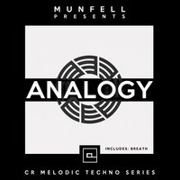 Analogy - Munfell