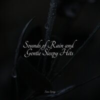Trickling Rains into Drains - The White Noise Zen & Meditation Sound Lab & Lullabies for Deep Meditation & Yoga Sounds