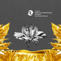 My Realm - Sisko Electrofanatik & Hanubis