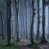 Owls Nest - LOST