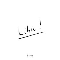 Virtuel - Brice