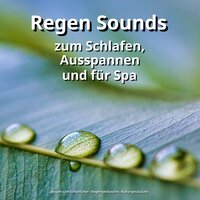 Sounds gegen Ruhestörung - Regen zum Einschlafen & Regengeräusche & Naturgeräusche