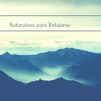 Sonidos Curativos del Viento - Sonido De La Naturaleza