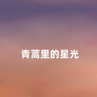青蒿里的星光 - 江虹娇