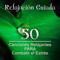 Mùsica Calma para Relajar la Mente - Meditación Música Ambiente