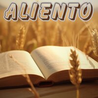 Sueño Playero - La renovación interior de Miguel