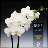 Breaking Time - Owl Stone