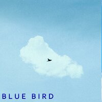 Naruto Blue Bird - Sushi & Brian Washington