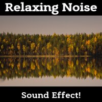 Wings on the Wind - Sound Effect!