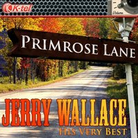 In the Misty Moonlight - Jerry Wallace
