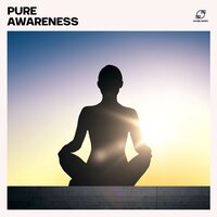 Vipassana Meditation - Zen Meditation Orchestra & Meditation Guru & Meditation Music Culture & Healing Meditation Music