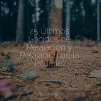 Soledad Tranquila - Meditação Zen & Relajante & Musica Relajante New Age Culture