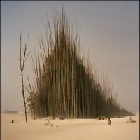 Life Is a Bamboo - Ash Koosha
