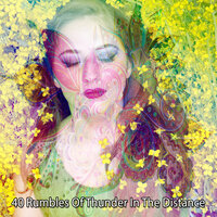 Water Over The Mind - Rain Sounds Nature Collection