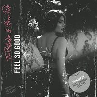 Feel So Good - The Bestseller & Grove Park & Mike Drozdov & VetLove