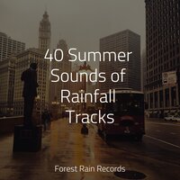 Rain, Light Metal, Window Pane - Lluvia & Sleep Rain & Relaxing Nature Sounds Collection