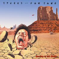 The Memory Fades - Tygers Of Pan Tang