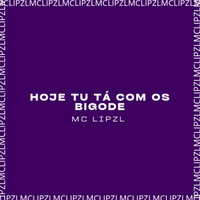 Hoje Tu Tá Com os Bigode - mc lipzl