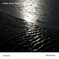 Tüür: Ardor, Concerto for marimba and orchestra (2001/02) - I - Pedro Carneiro & Estonian National Symphony Orchestra & Olari Elts