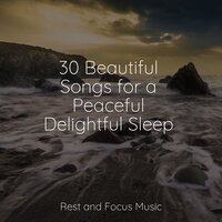 Forest Tranquility - Pro Sound Effects Library & Entspannungsmusik Oase & Yoga