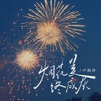 烟花美终成灰 - 卢润泽