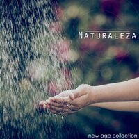 Lluvia y Trueno - Relajación Natural Maestro