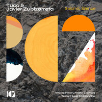 Seismic Silence - Tuco & Javier Zubizarreta & Axel Terblanche
