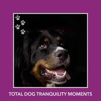 Welcoming Reflection Moments - Relaxing Dog Music