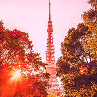 Beautiful (Nights Out) - Smooth Jazz