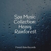 Tin Roof Rain - Rest & Relax Nature Sounds & Trouble Sleeping Music Universe & Exam Study Classical Music Orchestra