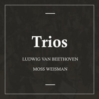 Piano Trio No. 7 in B-Flat Major, Op. 97, "Archduke": IV. Andante cantabile - l'Orchestra Filarmonica di Moss Weisman & Ludwig van Beethoven