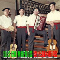 Clavel de la Gran Canaria - Los Chimberos