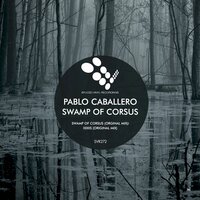 IXXIIS - Pablo Caballero