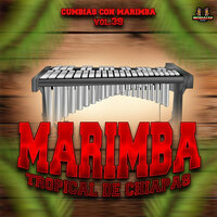 El Valle De La Hermita - Marimba & Marimba Tropical De Chiapas