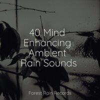 Light Rains - Relaxing Sounds of Nature & ReGen & Buddhist Meditation Music Set